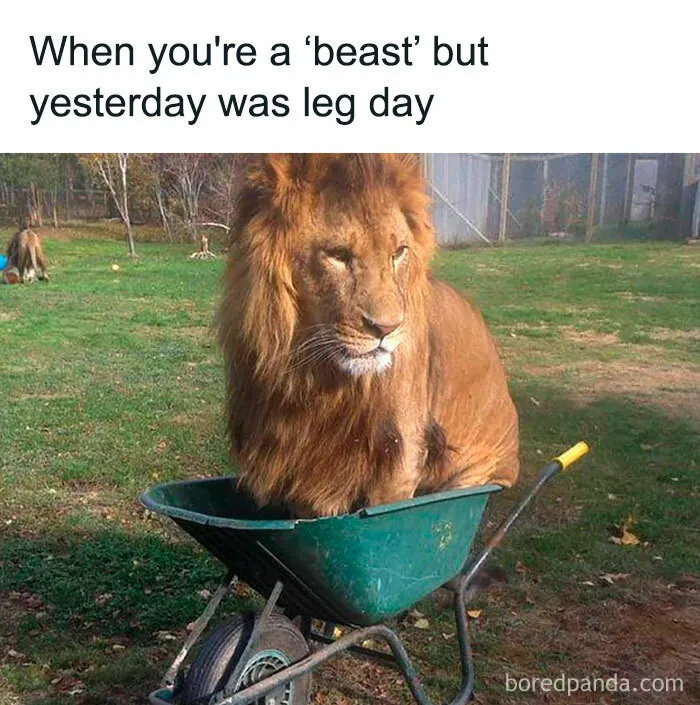 30 Funny Gym Memes For Everyone Who Knows The Agony Of ‘Just One More Rep’