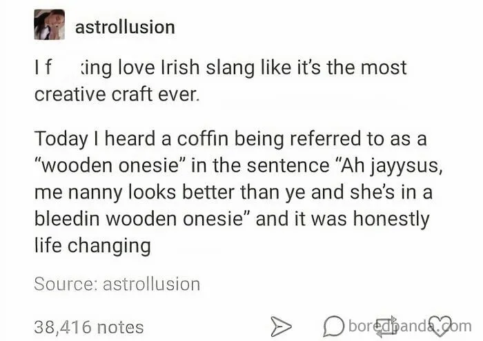 ‘Meanwhile In Ireland’: 50 Funny Posts That Capture Ireland’s Charm (New Pics)