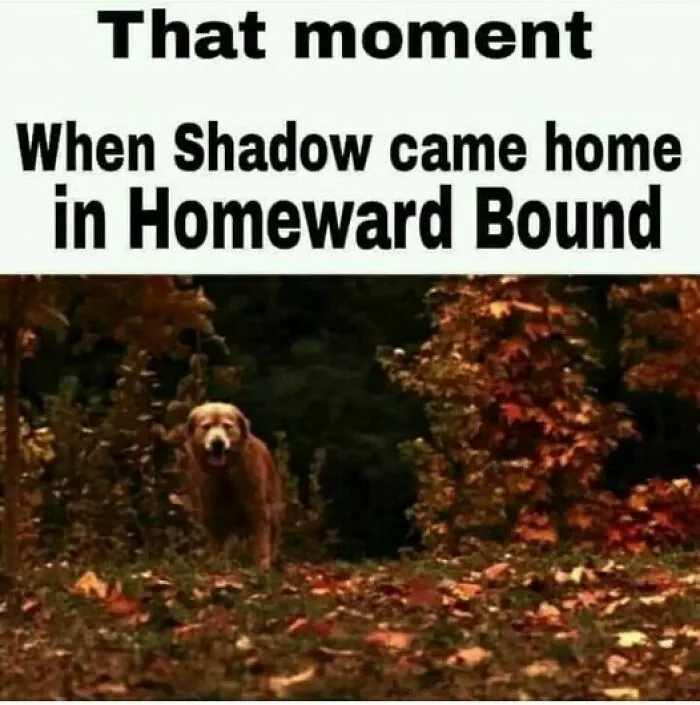 50 Nostalgic Posts That Are Pretty Much The Embodiment Of The ’90s