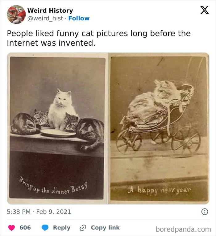 50 ‘Weird History’ Pics That May Rewrite The Narrative Of How You Think The Past Went (Best Of All Time)