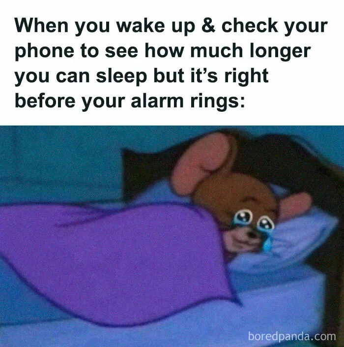50 Funny Memes For Anyone Who Desperately Needs A Laugh Today
