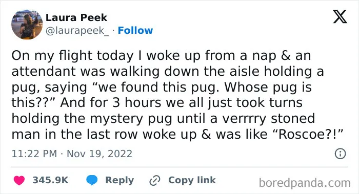 This Instagram Account Posts “The Funniest Tweets You’ll Ever Read” (50 New Pics)