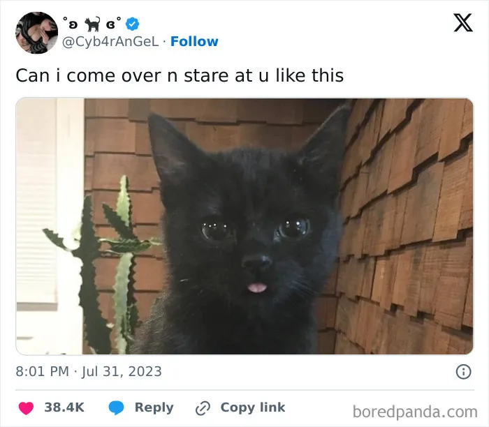 Funny Memes With A Twist Of Horror, As Shared On This Instagram Page