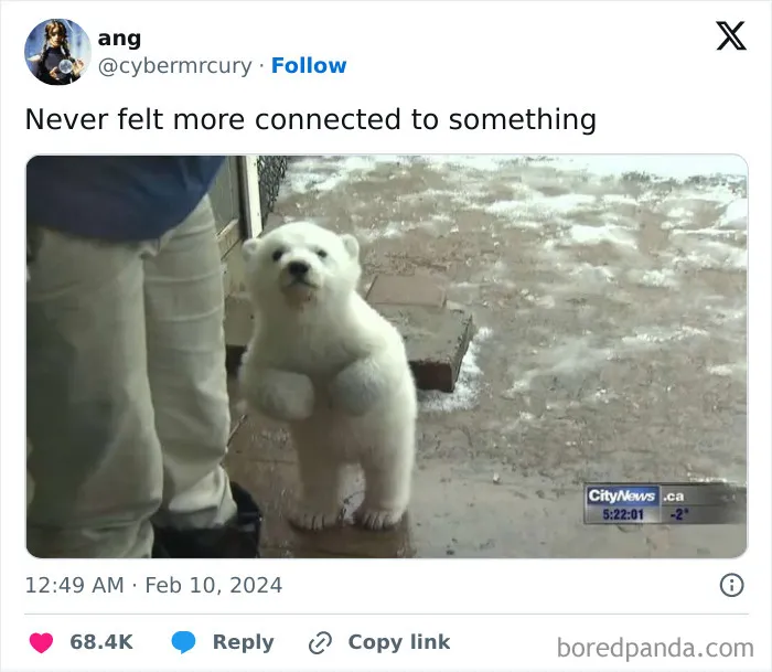 ‘Unbruthered’: 40 Totally Random Memes That Escalate Quickly