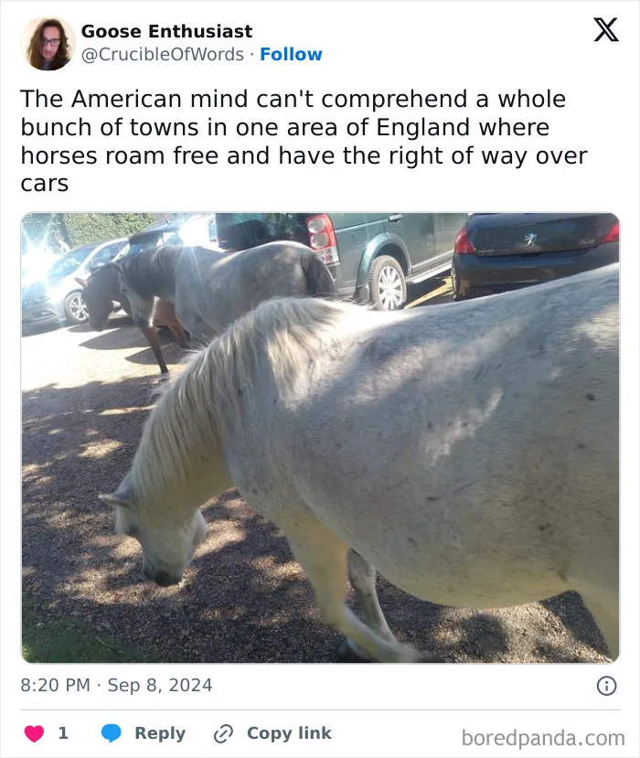 30 Everyday Pics From Around The World To Confuse Americans With