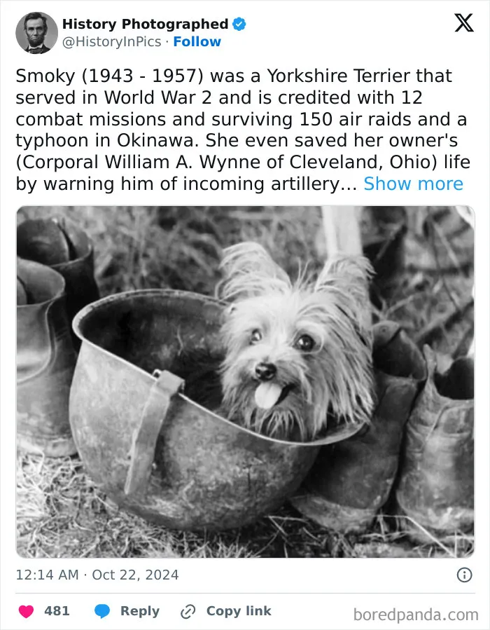 35 Fascinating Historical Pictures That Might Teach You Something New About Our World