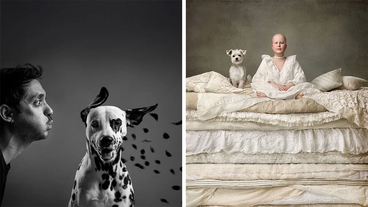 Here Are The Best 29 Pics Of 2024, As Shared By Dog Photography Awards