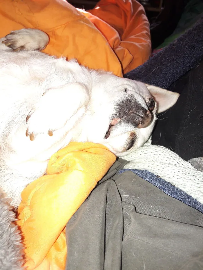 Sleeping Hard