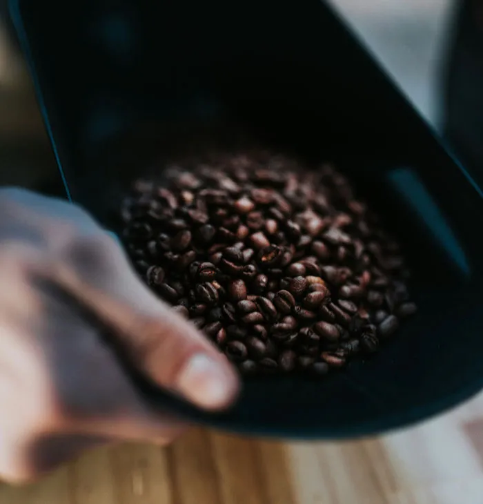 Close-up of coffee beans in a scoop, showcasing frugal choices in coffee selection.