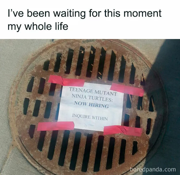 50 Funny Memes For Anyone Who Desperately Needs A Laugh Today