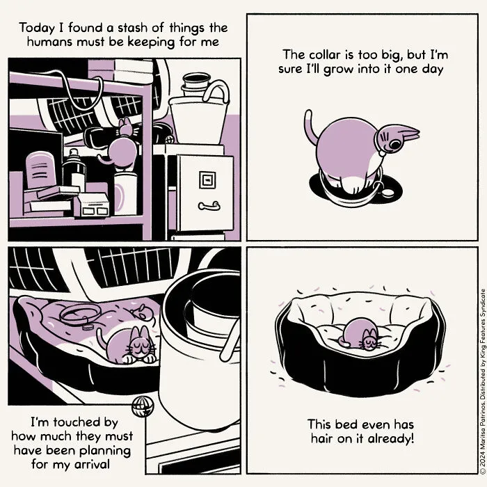 Absurd Life Moments And Cat Humor: 37 New Relatable Comics By Maritsa Patrinos (New Pics)