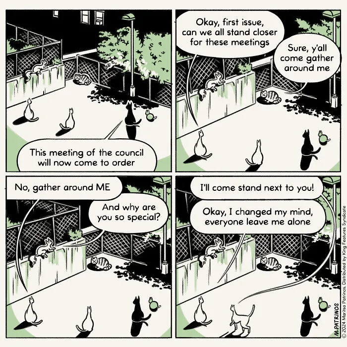 Absurd Life Moments And Cat Humor: 37 New Relatable Comics By Maritsa Patrinos (New Pics)