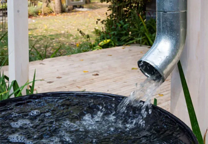 Rainwater collection with a downspout filling a barrel, showcasing frugal choices in sustainable water usage.