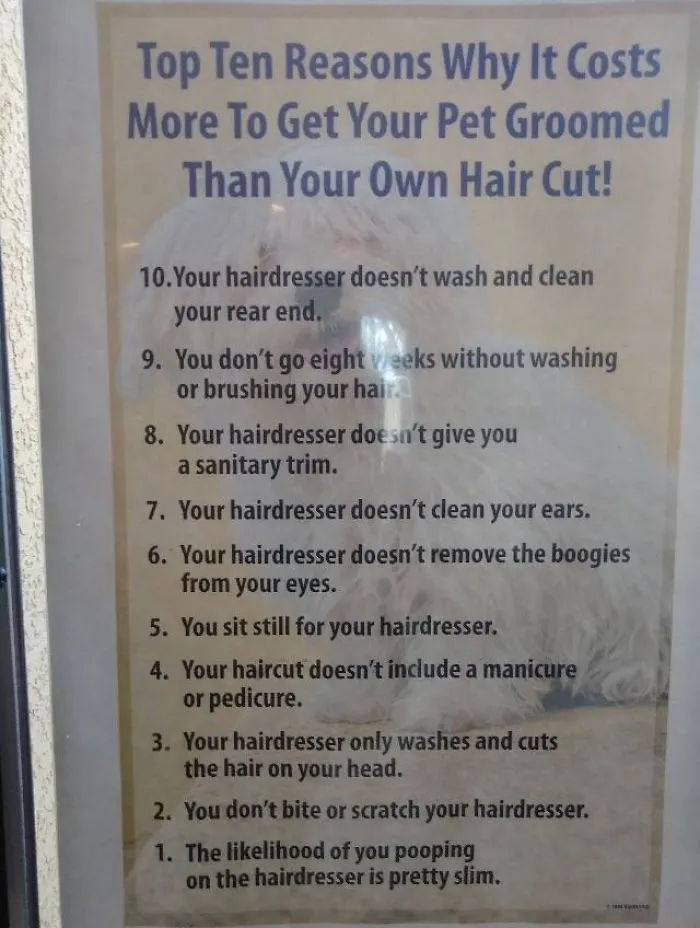 This Groomer Is Definitely Prepared For All The Choosing Beggars