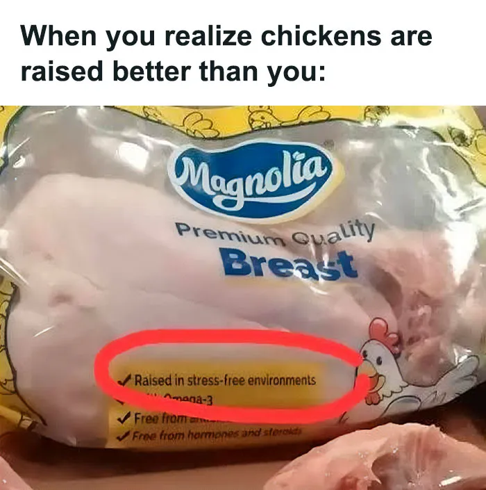 50 Funny Memes For Anyone Who Desperately Needs A Laugh Today