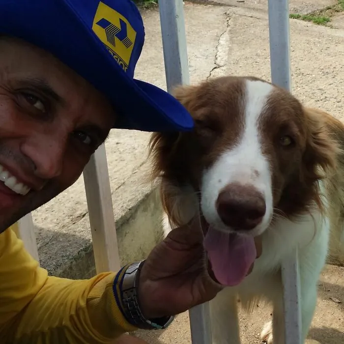Animal-Friendly Postman: 44 Selfies This Man Took With Every Animal On His Mailing Route (New Pics)