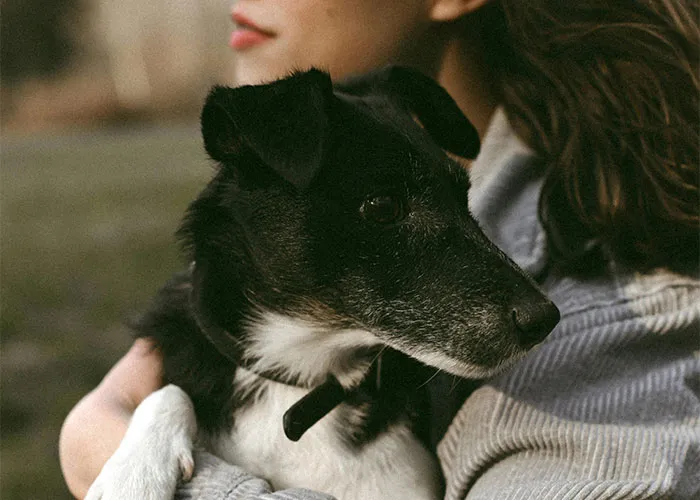 “It Still Hurts”: 50 Experiences That Broke People’s Hearts Into A Million Pieces