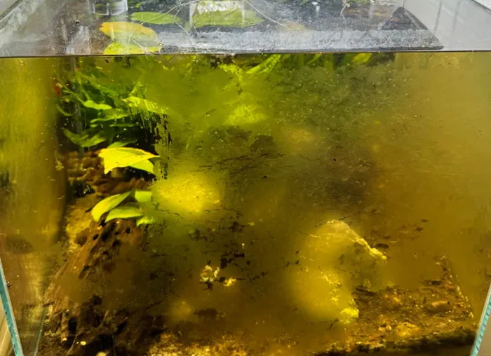 40 Unhinged Things One May See In A Home And Think, ‘Oh No, Not Today’