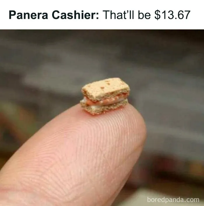 What Is This? A Sandwich For Ants?
