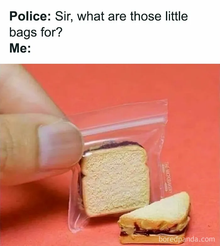 What Is This, Munchies For Ants?