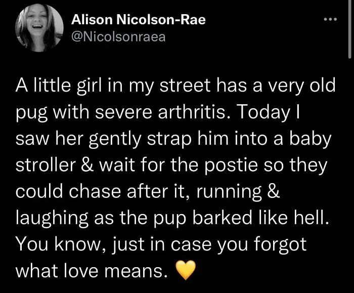 50 Wholesome Pics From The “Wholesome Meets The Internet” Account To Brighten Up Your Day (New Pics)