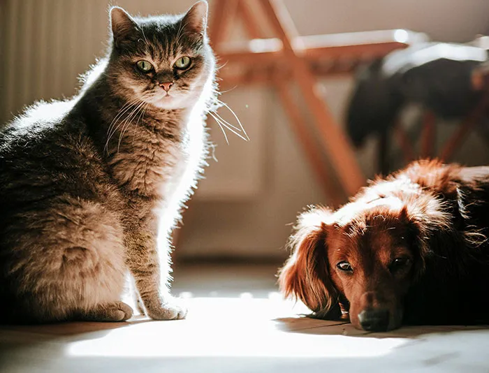 “No One Can Stop Me”: 40 People Confess To The Weirdest Things They Do Living Alone