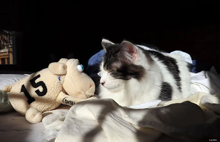“No One Can Stop Me”: 40 People Confess To The Weirdest Things They Do Living Alone