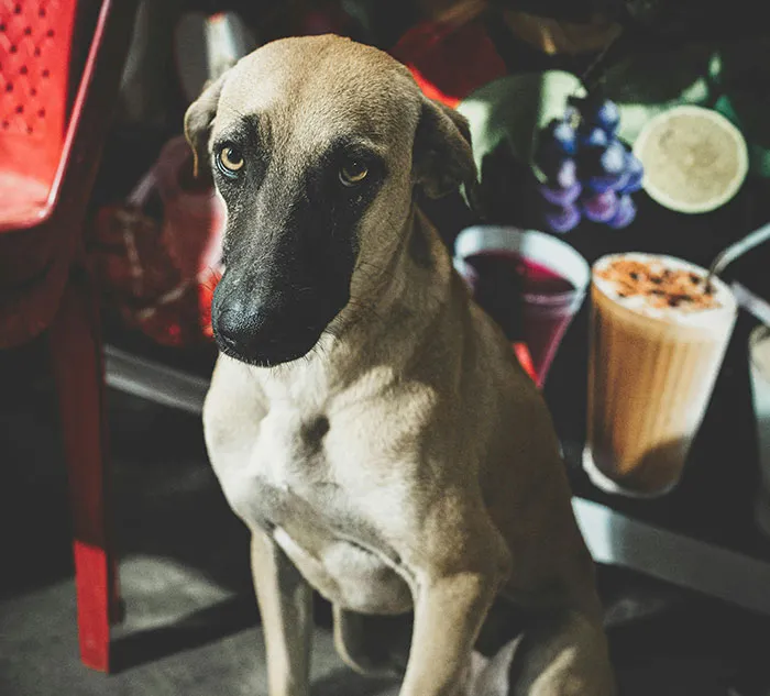 “No One Can Stop Me”: 40 People Confess To The Weirdest Things They Do Living Alone