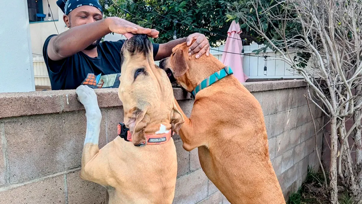 50 Times Neighbors Went Above And Beyond, Becoming The Unsung Heroes Of Everyday Life (New Pics)