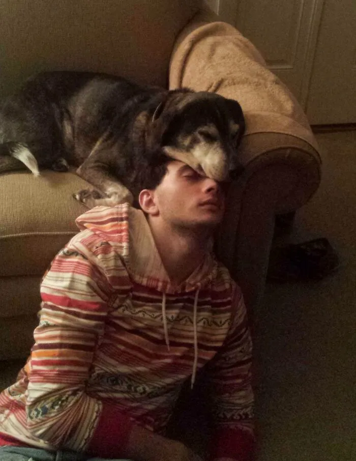 Shiloh Never Cuddles. This Was The Best 20 Minutes Of Thanksgiving Break