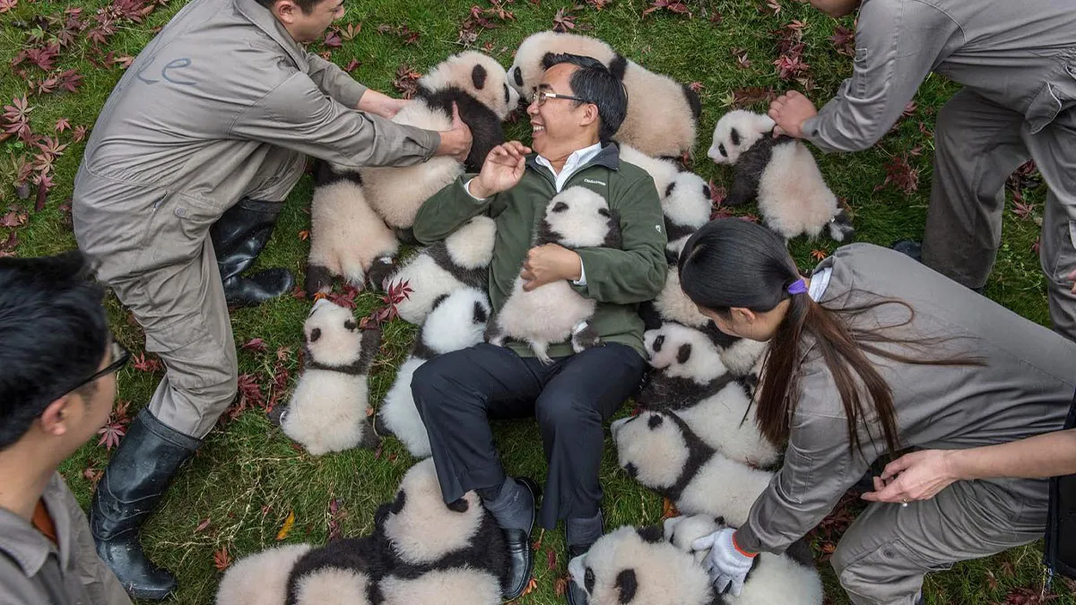 This Photographer Lived In Mud Huts, Wore A Panda Suit, And Changed How We See The World With Her Photos (20 Pics)