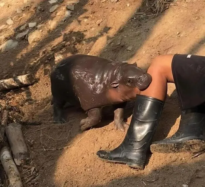 This FB Page Is Brimming With ‘Pics That Go Hard,’ Here Are 30 Of The Coolest