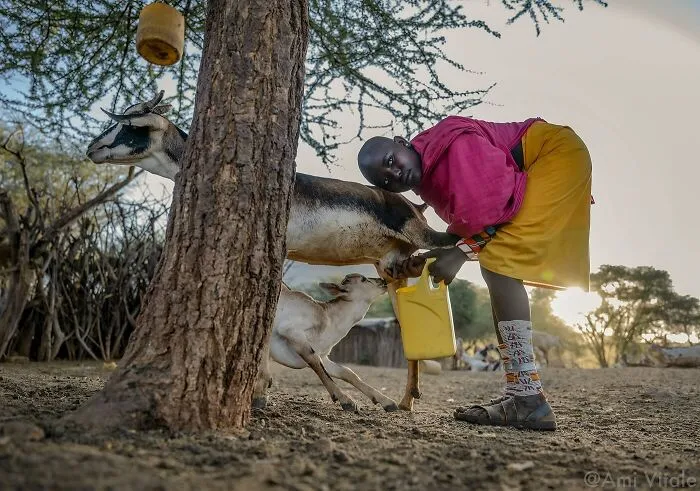 This Photographer Lived In Mud Huts, Wore A Panda Suit, And Changed How We See The World With Her Photos (20 Pics)