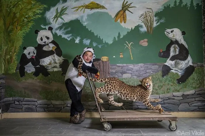This Photographer Lived In Mud Huts, Wore A Panda Suit, And Changed How We See The World With Her Photos (20 Pics)