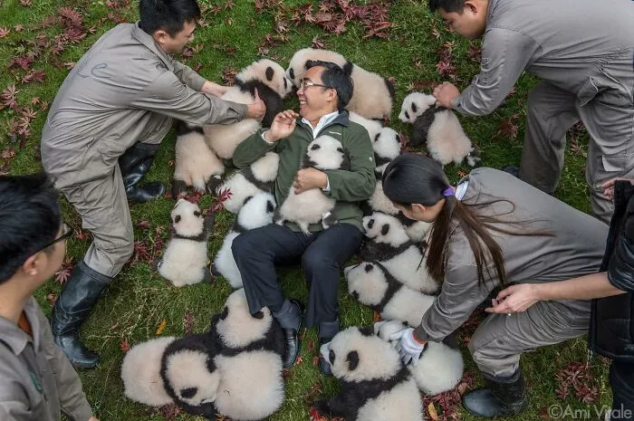 This Photographer Lived In Mud Huts, Wore A Panda Suit, And Changed How We See The World With Her Photos (20 Pics)