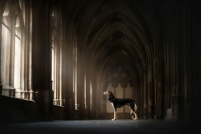 Honorable Mention, Portrait: Sacred Light By Fleur Scholte