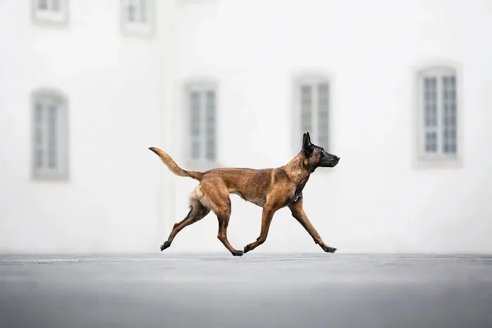 3rd Place, Action: Floating By Anne-Laurie Leger