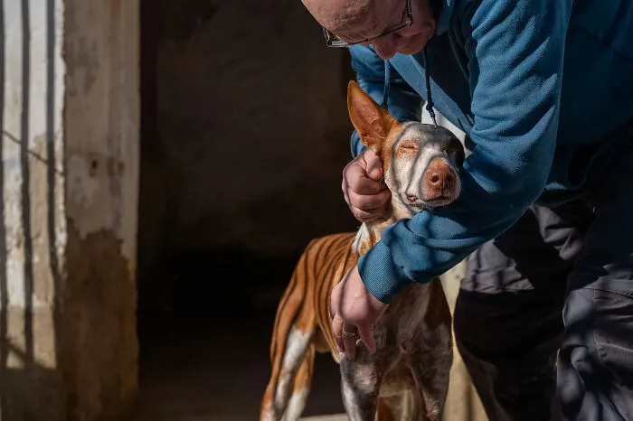 2nd Place, Documentary: Safe By An Di Prima
