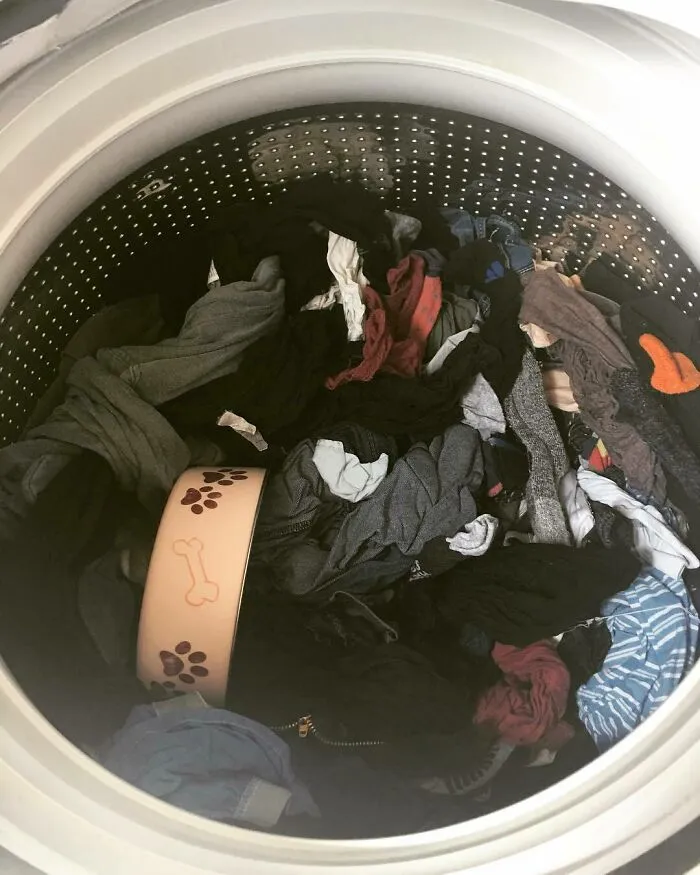 Cómo lograr que no te vuelvan a pedir que laves la ropa