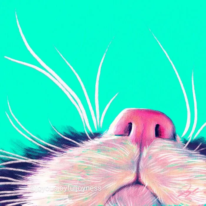 "Boop"
