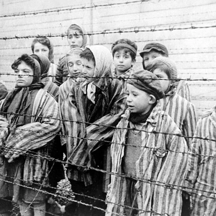 Liberated Survivors Of Auschwitz, 1945