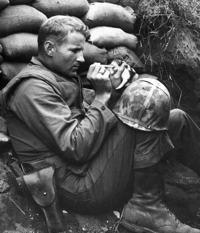 Marine Sergeant Frank Praytor Feeds A Two Week Old Orphan Kitten