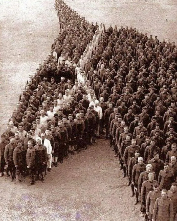 American Soldiers Pay Tribute To The Fallen Animals, 1918