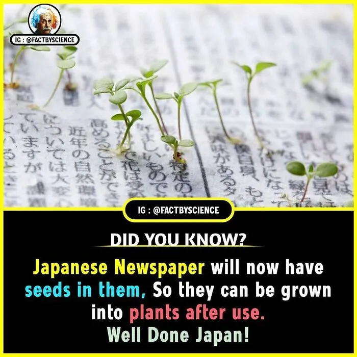 50 Cool And Interesting Facts About The World That May Be New To You