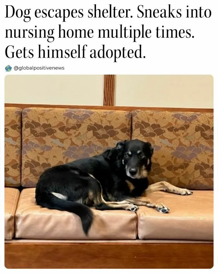 We All Need A Break From The Sad Reality So Here Are 50 Uplifting Stories (New Pics)