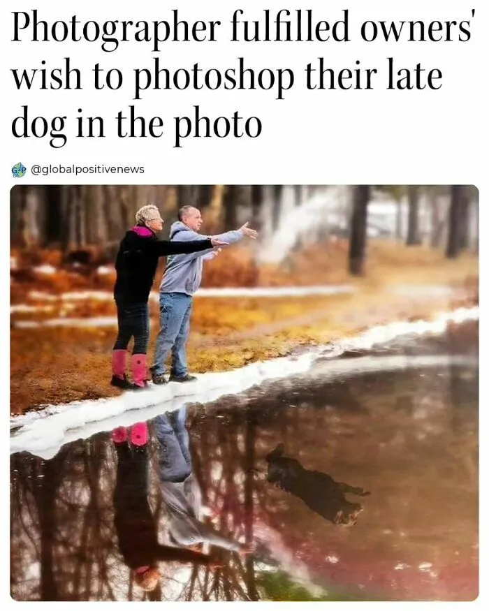 We All Need A Break From The Sad Reality So Here Are 50 Uplifting Stories (New Pics)
