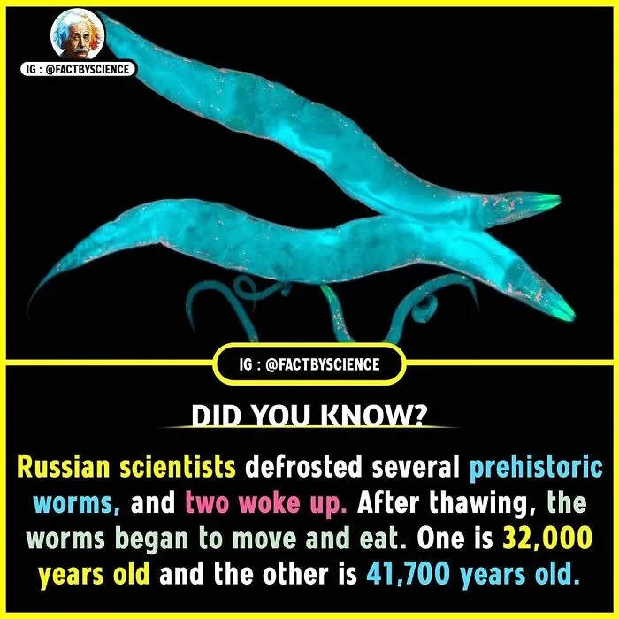 50 Cool And Interesting Facts About The World That May Be New To You