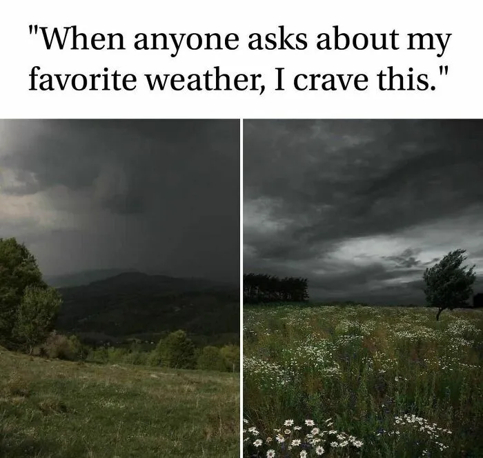 Funny Memes With A Twist Of Horror, As Shared On This Instagram Page