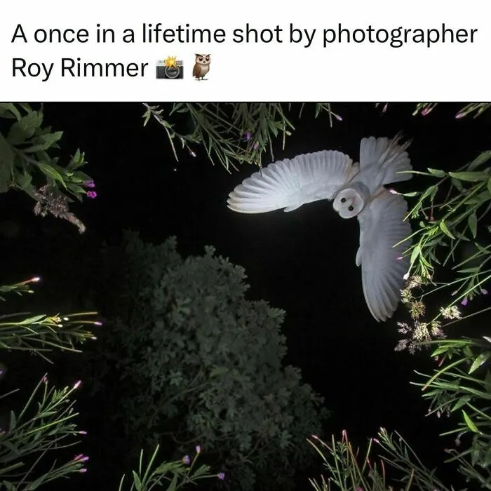 Funny Memes With A Twist Of Horror, As Shared On This Instagram Page
