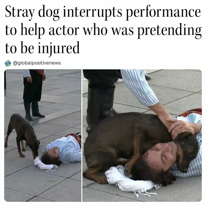 We All Need A Break From The Sad Reality So Here Are 50 Uplifting Stories (New Pics)